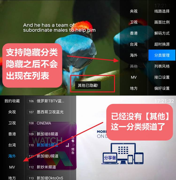 DIYP影音经典版 强大且良心的盒子直播-第7张图片-分享者 - 优质精品软件、互联网资源分享